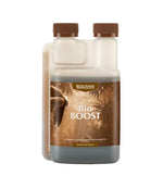 BIOCANNA BioBOOST - organic flowering booster