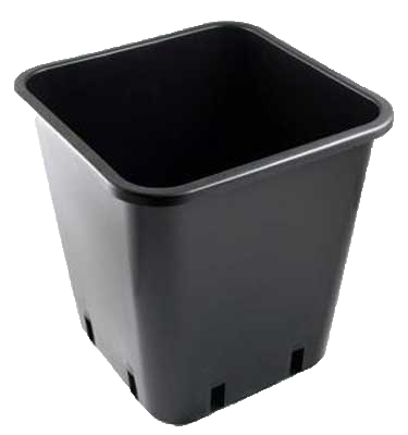 Ghiveci ECO 11 l