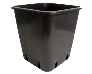 Ghiveci ECO 6 l