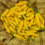 Aji Pineapple – 15 semințe