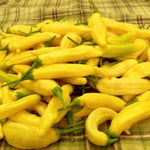 Aji Pineapple – 15 semințe