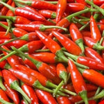 Tabasco Red - 10 buc. semințe