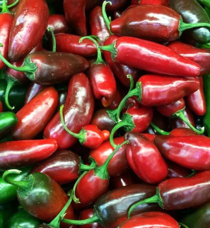 Italiano Adorno - 15 pcs seeds