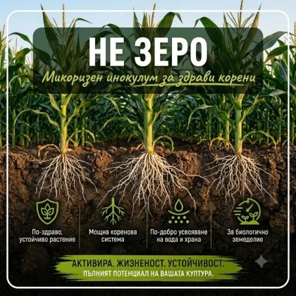 Не-Зеро (NE-ZERØ) – полезни гъби Metarhizium anisopliae и Paecilomyces fumosoroseus (Isaria)