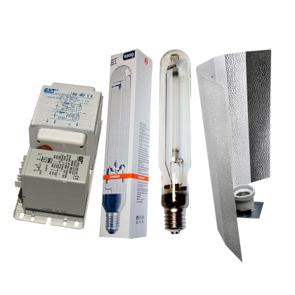1000W kit with ELT ballast