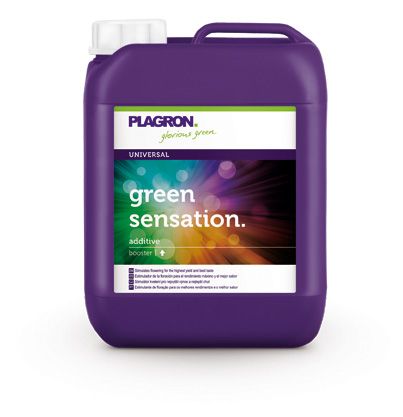 Green Sensation 5 l