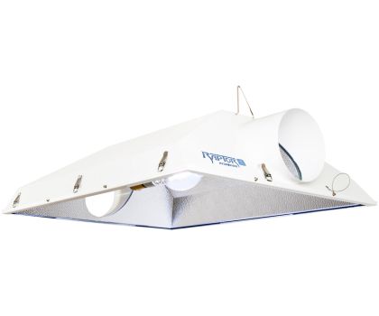 Raptor 8 Solo pentru un bec