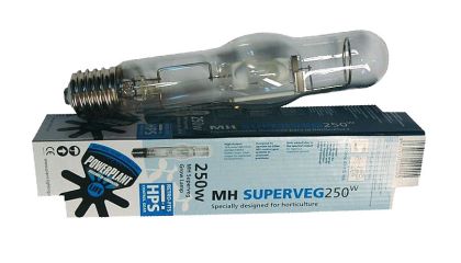 PowerPlant MH 250W