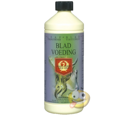 House & Garden Leaf Strengthener 1 l