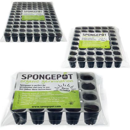 Tavă Spongepot cu 96 bureți pentru înrădăcinare
