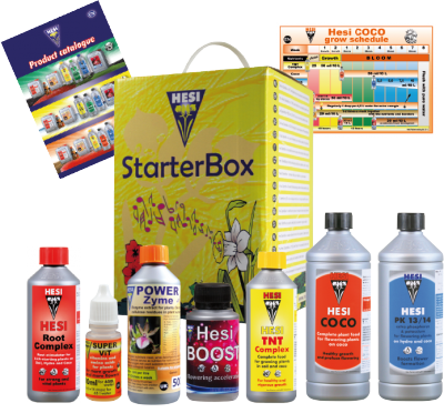 HESI STARTER BOX COCO