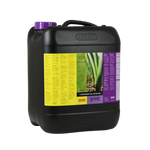 B'cuzz 1-Component Nutrition 5 l