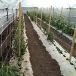 Plasă profesională pentru susținerea plantelor cățărătoare, 2.04 m x 1000 m