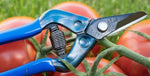 CHIKAMASA S-2C Garden Shears - Curved Blade