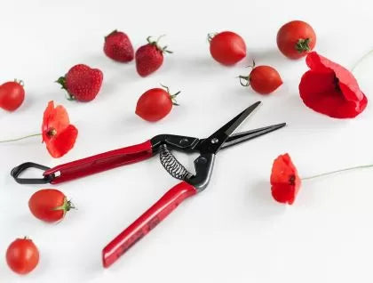 CHIKAMASA T-55C garden shears (long blade)