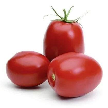 Roma - tomată Roma - 200 buc. (±) semințe