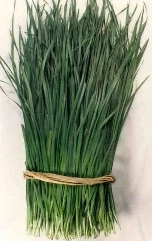 Arpagic chinezesc (Allium tuberosum) - 750 buc. (±) / 2.5 g semințe