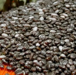 Chia - 40 g semințe