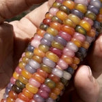 Porumb multicolor (Glass Gem) - 25 buc. semințe