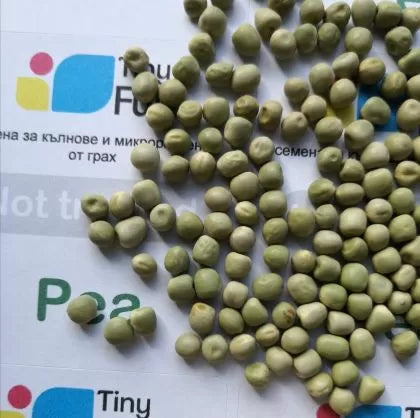 Pea Tendril Seeds 700g