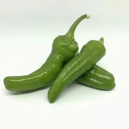 Peperone Friariello - 90 pcs seeds