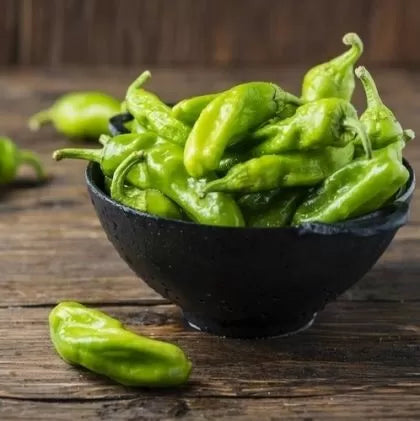 Friggitello (Friggitello / Sweet Italian Pepper) - 15 semințe
