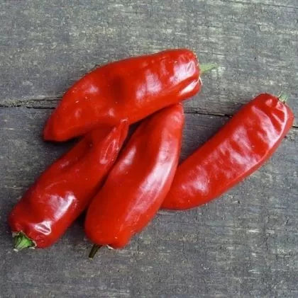 Piment de la Bresse (Piment de la Bresse) - 15 buc. semințe