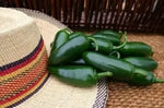 Jalapeno Early Pepper Seeds - 25 pcs