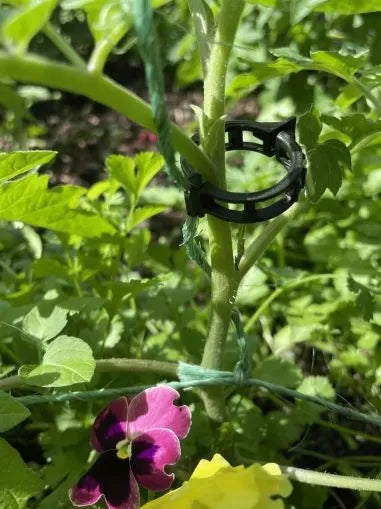 Cleme de susținere pentru plante, 100 bucăți în pachet, negre
