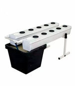Terra Aquatica GrowStream10 V2 – Aero-Hydroponic System for 10 Plants