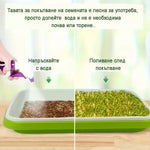 🌱 Set de tăvi pentru germinarea microplantelor, cu plasă și capac, dimensiuni 24/32 cm