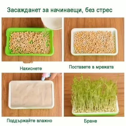 🌱 Set de tăvi pentru germinarea microplantelor, cu plasă și capac, dimensiuni 24/32 cm