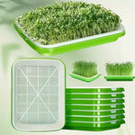 🌱 Set de tăvi pentru germinarea microplantelor, cu plasă și capac, dimensiuni 24/32 cm