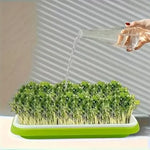 🌱 Set de tăvi pentru germinarea microplantelor, cu plasă și capac, dimensiuni 24/32 cm