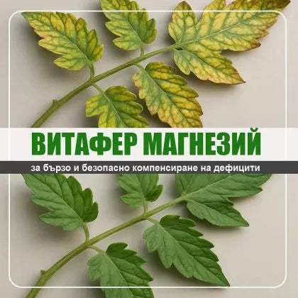 VitaFer Mg - fertilizant cu magneziu 1l