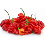 Trinidad Scorpion Moruga Blend (Trinidad Scorpion Moruga Blend) - 5 adet tohum
