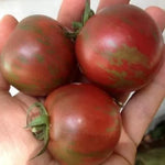 Violet Jasper – tomate cherry, 15 semințe