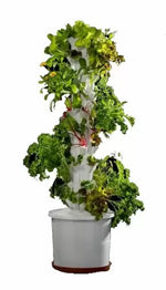 Hydroponic Vertical Garden — set complet pentru grădinărit hidroponic vertical