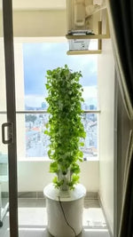 Hydroponic Vertical Garden — set complet pentru grădinărit hidroponic vertical