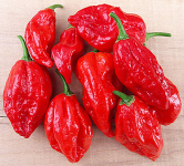 Semințe de soi de ardei iute "Naga Morich" (Naga Morich) 15 buc