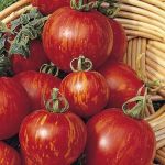 "Red Zebra" / "Tigerella" Tomatoes seeds 15 pcs