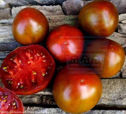 Tomato variety "Brazilian Beauty" - 15 seeds