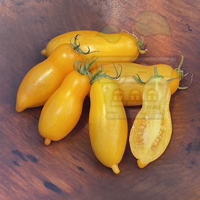 Cherry tomatoes variety "Banana Legs" - 15 seeds