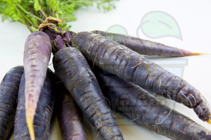 Carrot black/purple ( Scorzonera hispanica / Black Nebula / Deep Purple) F1 500seeds