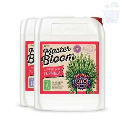 Master Bloom A + B 10L - îngrășământ mineral pentru înflorire