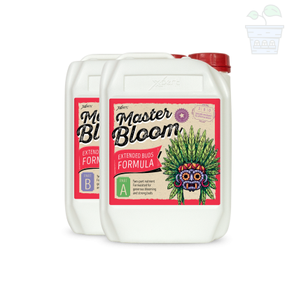 Master Bloom A + B 5L - mineral fertilizer for flowering