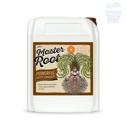 Master Root 10l - Stimulator pentru Root