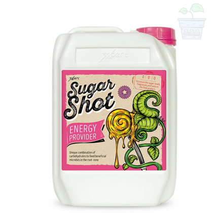 Sugar Shot 5L - supliment de carbohidrați