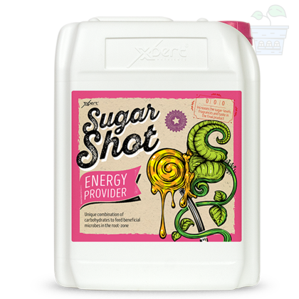 Sugar Shot 10L - supliment de carbohidrați