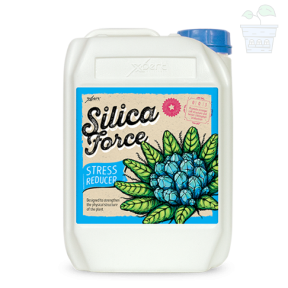 Silica Force 5L - aditiv de siliciu